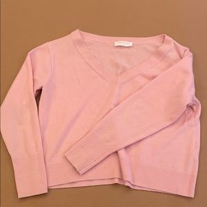 Everlane 100% Cashmere V-Neck Sweater